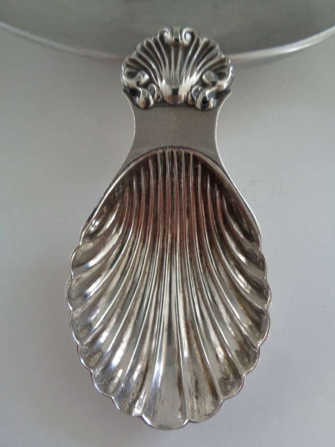 Solid Silver Caddy Spoon