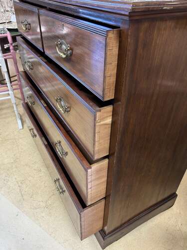 Edwardian Mahogany Chest of Drawers by JAS Shoolbred & Co